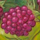 Giclée-Druck auf Leinwand  by Charles Kaufman: "Eight Red Berries".